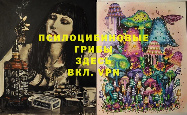 молекула духа Аркадак