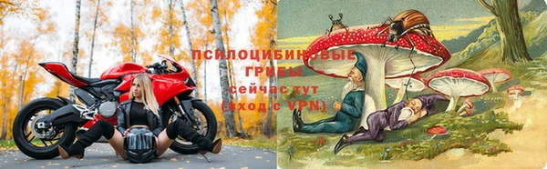 молекула духа Аркадак