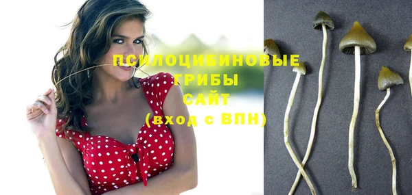 молекула духа Аркадак